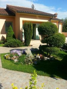 Zahrada ubytování Villa Steffani