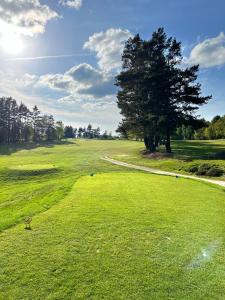 Attività di golf presso l'appartamento o nelle vicinanze