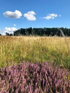 Paesaggio naturale nelle vicinanze dell'appartamento