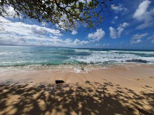 a shadow of a tree on a beach with the ocean at La Kaz and Ti Thano in Port-Louis