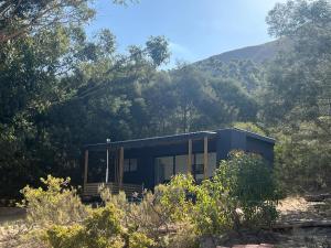 塔尔巴赫Coddiwomple Cabins的森林中间的蓝色房子