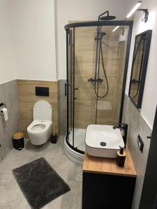 a bathroom with a shower and a toilet and a sink at Harmony House -Appartement Green in Kołczewo