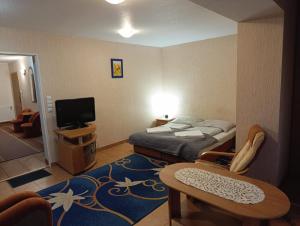 a small room with a bed and a television at Karkoz Karpacz in Karpacz