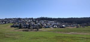 Naturlandskabet i nærheden af lejligheden