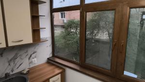 a kitchen with a window and a sink at 3-Room Delta Modern Residence in Tulcea