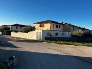 Ein Hund an der Leine, der eine Straße entlangläuft. in der Unterkunft Dija Riva 1 in Vabriga