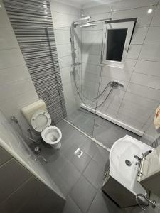 a bathroom with a shower and a toilet and a sink at Apartments Amy in Sarajevo