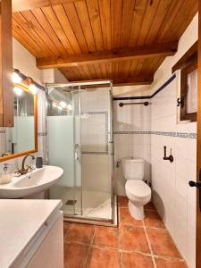 a bathroom with a shower and a toilet and a sink at La Casita de La Nozal de la Peña in Villaviciosa