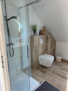 a bathroom with a shower and a toilet at La Descenderie - Bord de mer in Sangatte