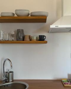 Kuchyňa alebo kuchynka v ubytovaní Papanestoras Apartments