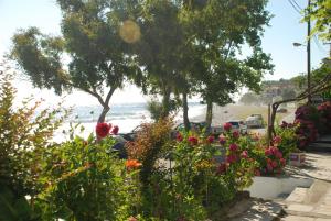 a view of the beach from a garden with flowers at Hotel Cleopatra in Chorefto