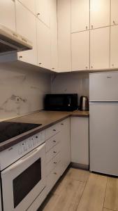 Kuchyň nebo kuchyňský kout v ubytování Apartman Beus
