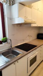 Kuchyň nebo kuchyňský kout v ubytování Apartman Beus