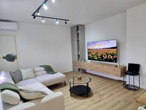 TV a/nebo společenská místnost v ubytování Istrian house in the heart of Tupljak - Smilovic