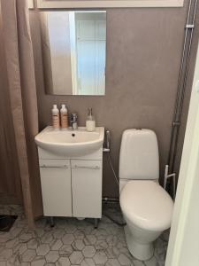 a bathroom with a toilet and a sink and a mirror at Short stay in the city center, free parking in Tampere