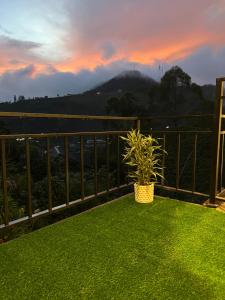 Vista general d'una muntanya o vistes d'una muntanya des de la fonda