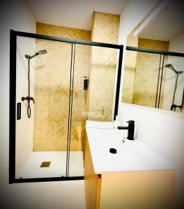 a bathroom with a shower and a white sink at Apartamentos Guerrero in Merida