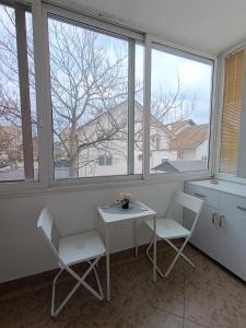 a table and two chairs in a room with windows at Apartman Miladinović in Belgrade