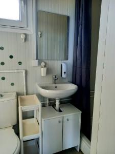 a bathroom with a sink and a toilet and a mirror at Od svitanja do sumraka in Golubac +85 photos
