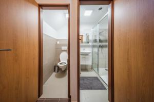 a bathroom with a toilet and a glass door at Vinoza - ubytování a vinný sklep Moravský Žižkov in Moravský Žižkov