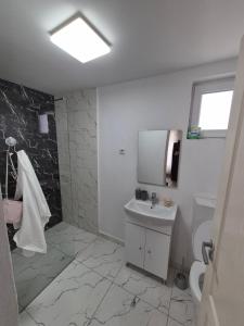 a bathroom with a sink and a toilet and a window at Paul's Houses 2 in Ocna-Mureşului +17 photos
