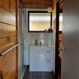 Kuchyň nebo kuchyňský kout v ubytování Lifestyle block Entire House