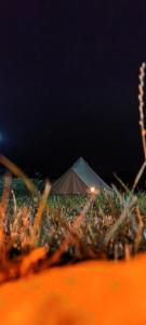 Fotografie z fotogalerie ubytování ILLU Glamping v destinaci Trebujeni