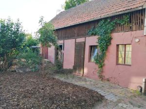 Zahrada ubytování Live Smart in Altenburg Practical Apartments for Students and Workers