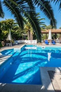 a swimming pool with a palm tree in the background at Alexaria Holidays Apartments in Lefkada