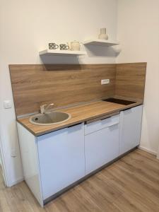a kitchen with a sink and a wooden counter top at Michael's in Zadar