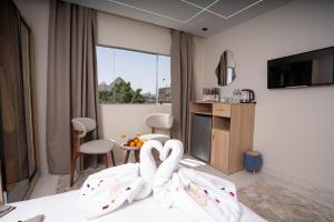 Телевизор и/или развлекательный центр в Camel Pyramids View Inn
