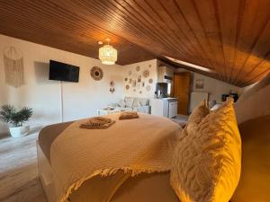 TV a/nebo společenská místnost v ubytování BOHO Apartment Skye