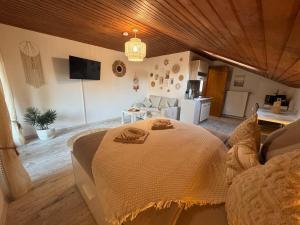 TV a/nebo společenská místnost v ubytování BOHO Apartment Skye