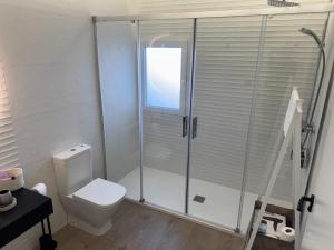 a bathroom with a toilet and a glass shower at Callejón de Chirinos in Úbeda