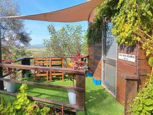 a garden with a wooden bench and an umbrella at Casa dos Sonhos Glamping in Lagoa