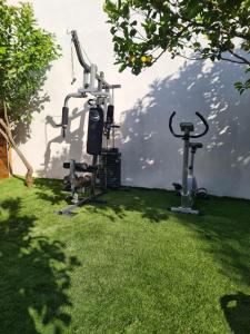 Fitness centrum a/nebo fitness zařízení v ubytování Lemonia Apartment with yard