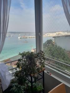 a view of the ocean from a window with a plant at departamento vistas a pasos playa caleuche in Quintero