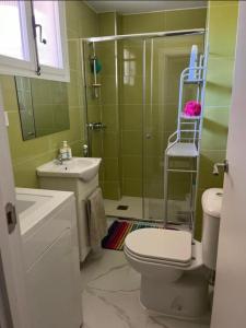 a bathroom with a shower and a toilet and a sink at Apartamento en Playa de Madrid in San Martín de Valdeiglesias