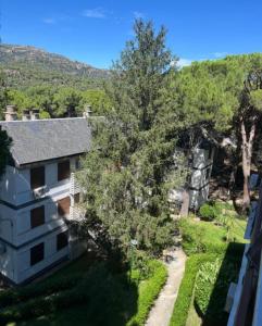 an aerial view of a house with a tree at Apartamento en Playa de Madrid in San Martín de Valdeiglesias