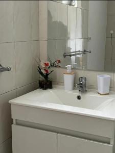 a bathroom sink with a mirror and flowers on it at Casa bela paisagem in Castro Daire