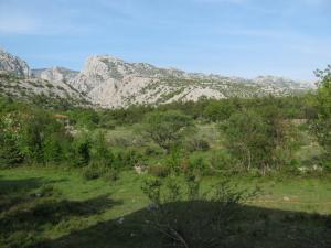a field with trees and mountains in the background at Paklina apartments in Starigrad-Paklenica