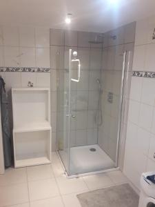 a shower with a glass door in a bathroom at Quiet and cozy apartment Wroclaw-Widawa in Wrocław