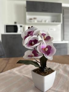 Photo de la galerie de l'établissement Stanojkov, à Bovec 28 autres photos