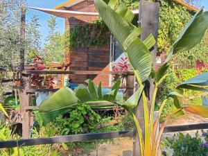 a fence with a plant in front of a house at Casa dos Sonhos Glamping in Lagoa