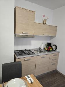 a kitchen with a stove and a sink and a table at Apartment BRIG in Kamenica Skradnička