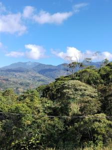 Ảnh trong thư viện ảnh của Cabaña vista hermosa Matazanos ở San Ramón Sur