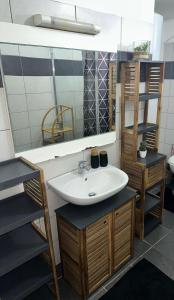 a bathroom with a sink and a mirror at T2 - Cayenne spacious center in Cayenne