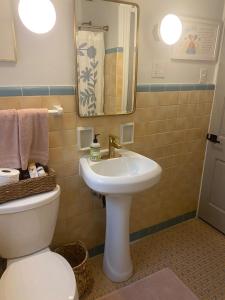 een badkamer met een wastafel en een toilet bij A beautiful award winning bungalow in Indianapolis