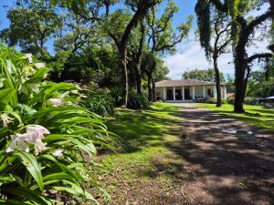 un jardín con una casa en el fondo en Casona de Epoca El Tatata, en San Lorenzo