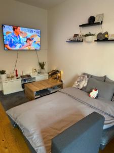 TV a/nebo společenská místnost v ubytování Room with Garden in Ottakringer with Shared Bathroom